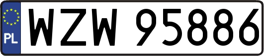WZW95886