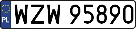 WZW95890