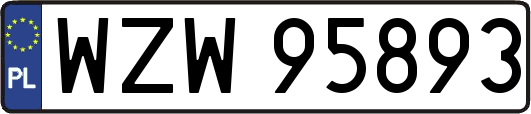 WZW95893