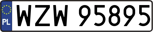 WZW95895