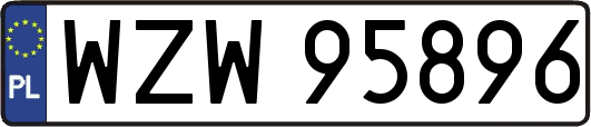 WZW95896