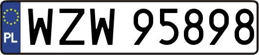 WZW95898