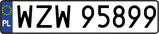WZW95899