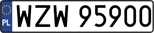 WZW95900