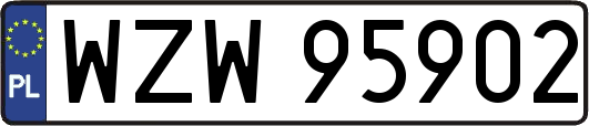 WZW95902