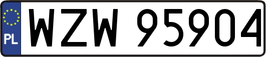 WZW95904