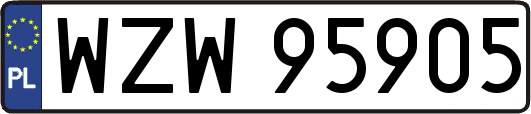 WZW95905