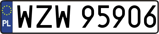 WZW95906