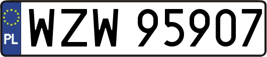 WZW95907