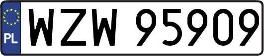 WZW95909