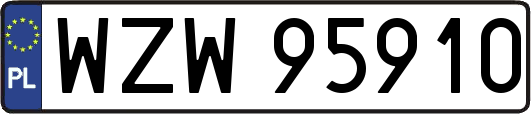 WZW95910