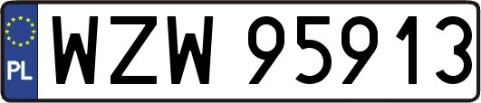 WZW95913