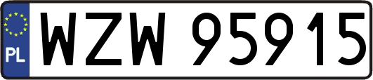 WZW95915