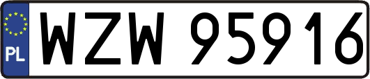 WZW95916