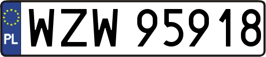 WZW95918