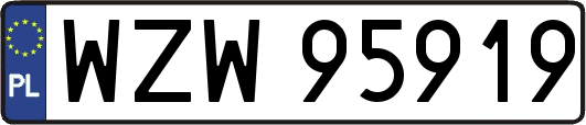 WZW95919