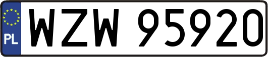 WZW95920
