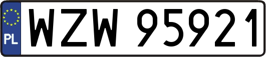 WZW95921