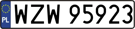 WZW95923