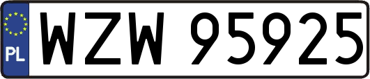 WZW95925