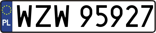 WZW95927