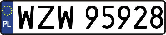 WZW95928