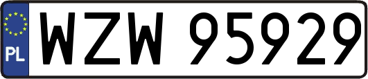 WZW95929