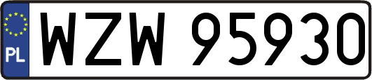 WZW95930
