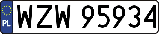 WZW95934