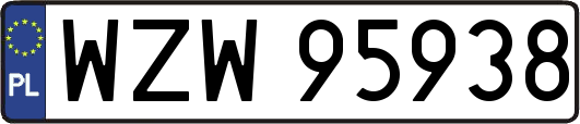 WZW95938