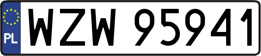WZW95941
