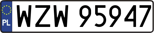 WZW95947