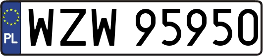 WZW95950