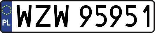 WZW95951