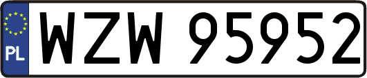 WZW95952