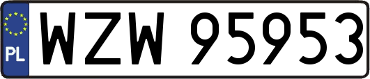 WZW95953