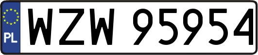 WZW95954