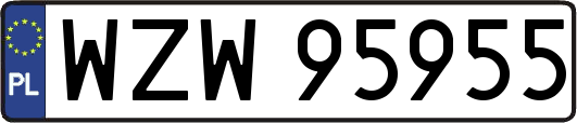 WZW95955