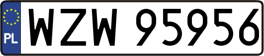 WZW95956