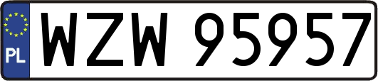 WZW95957