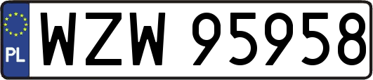 WZW95958