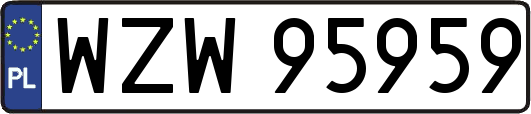 WZW95959