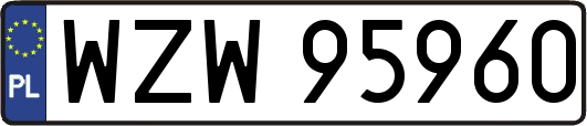 WZW95960