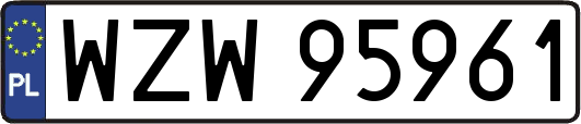 WZW95961