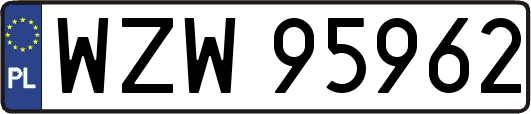 WZW95962