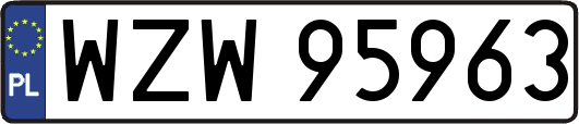 WZW95963