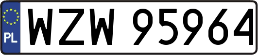 WZW95964