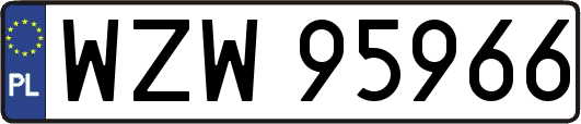 WZW95966