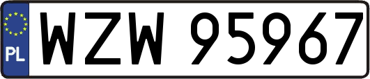 WZW95967