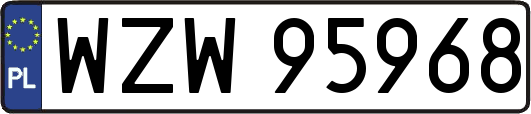 WZW95968